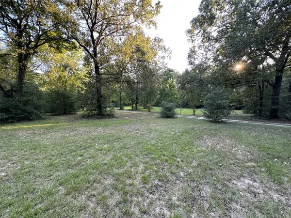 a view of outdoor space with trees all around