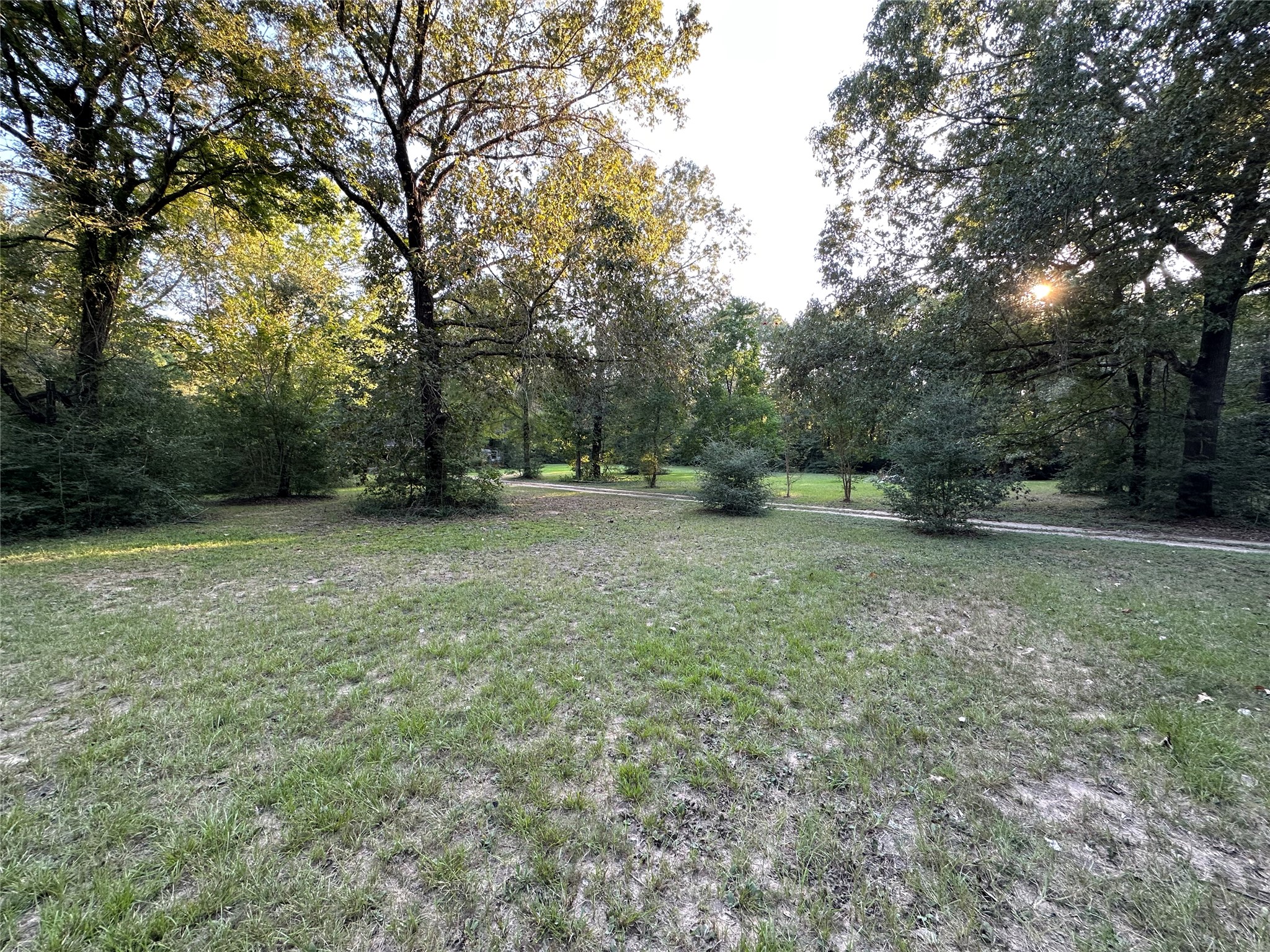 23161 Henson Road Montgomery, TX 77356 - Photo 2 of 10 a view of outdoor space with trees all around