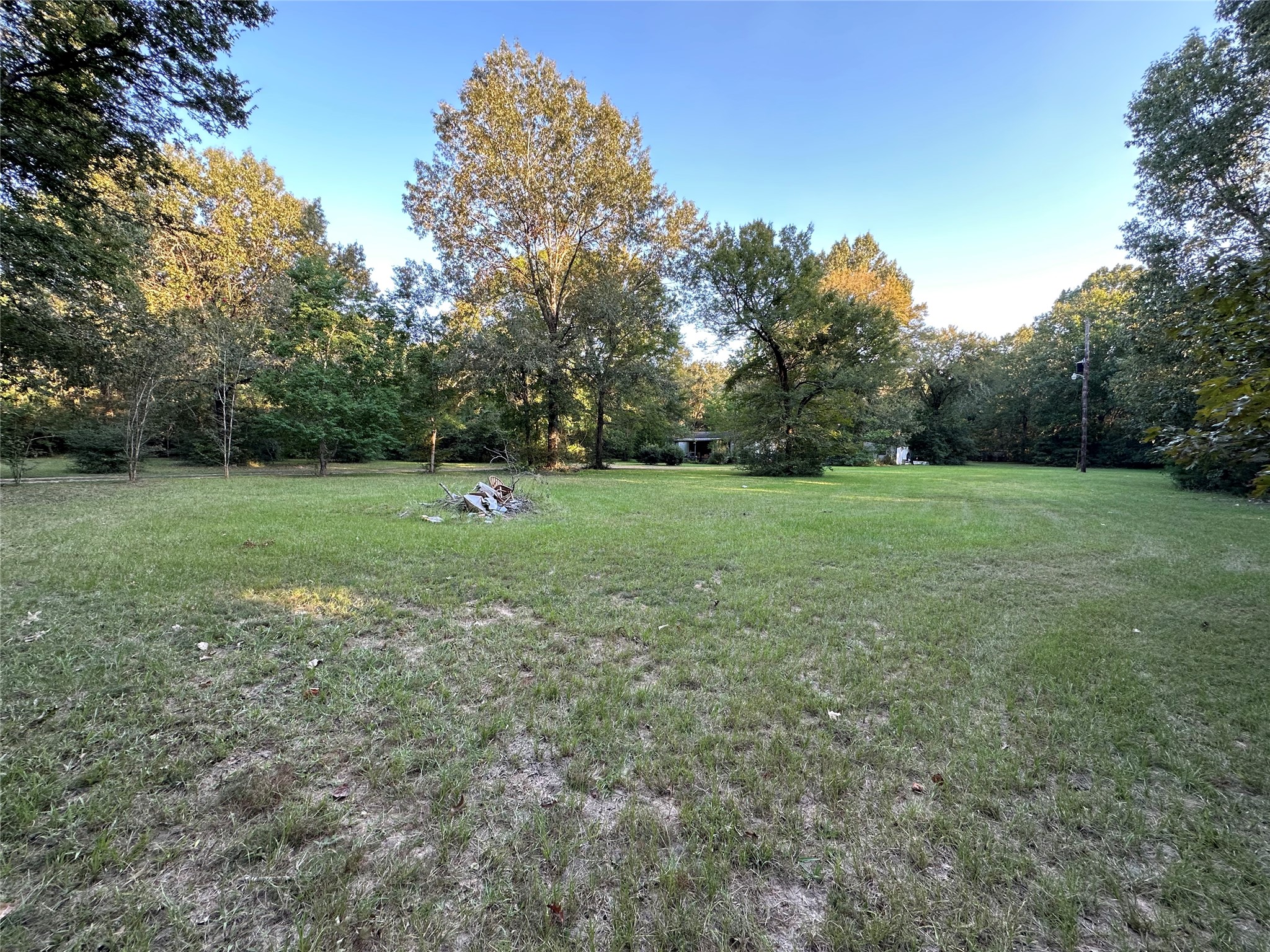 23161 Henson Road Montgomery, TX 77356 - Photo 3 of 10 a view of a green field with trees in the background