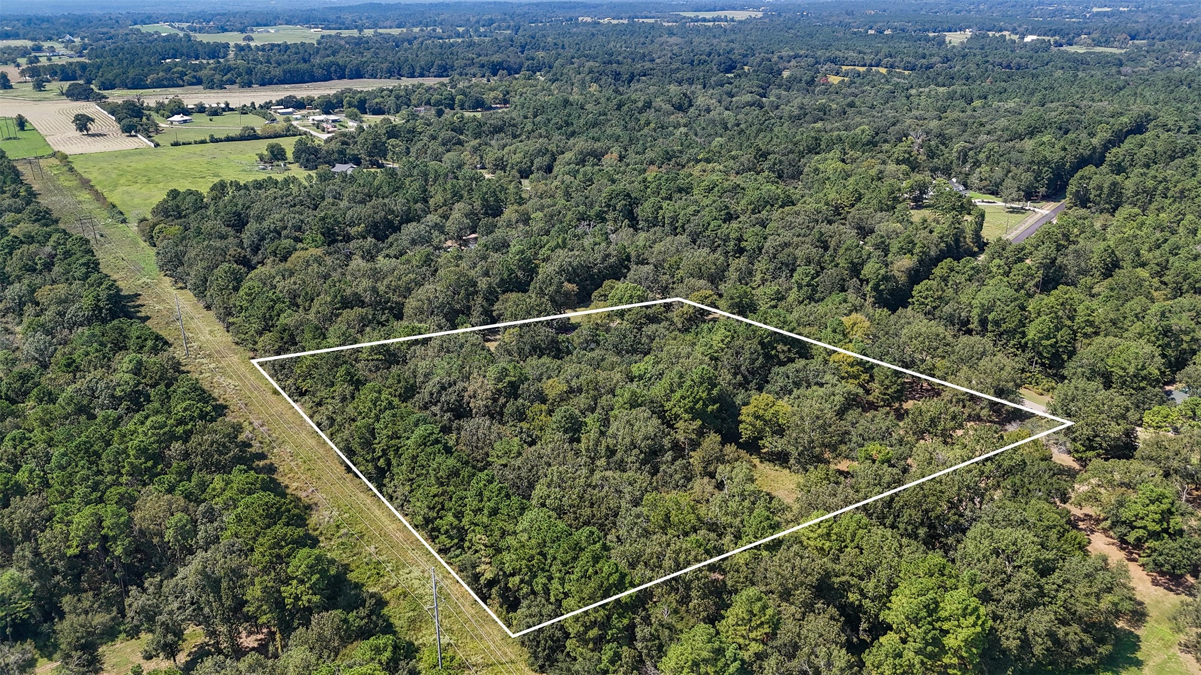 23161 Henson Road Montgomery, TX 77356 - Photo 8 of 10