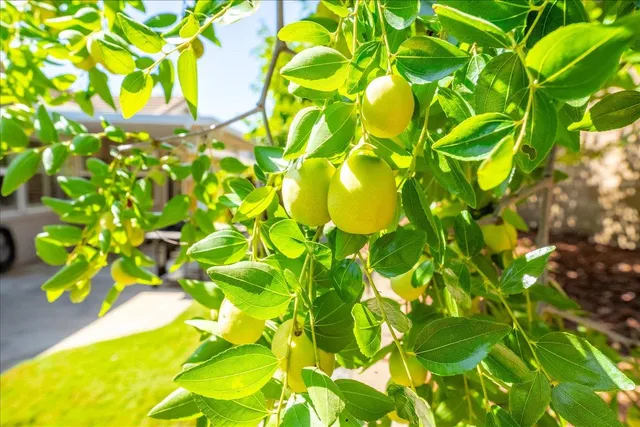 $639,000 | 3314 Brolio Court, Rancho Cordova, CA 95670