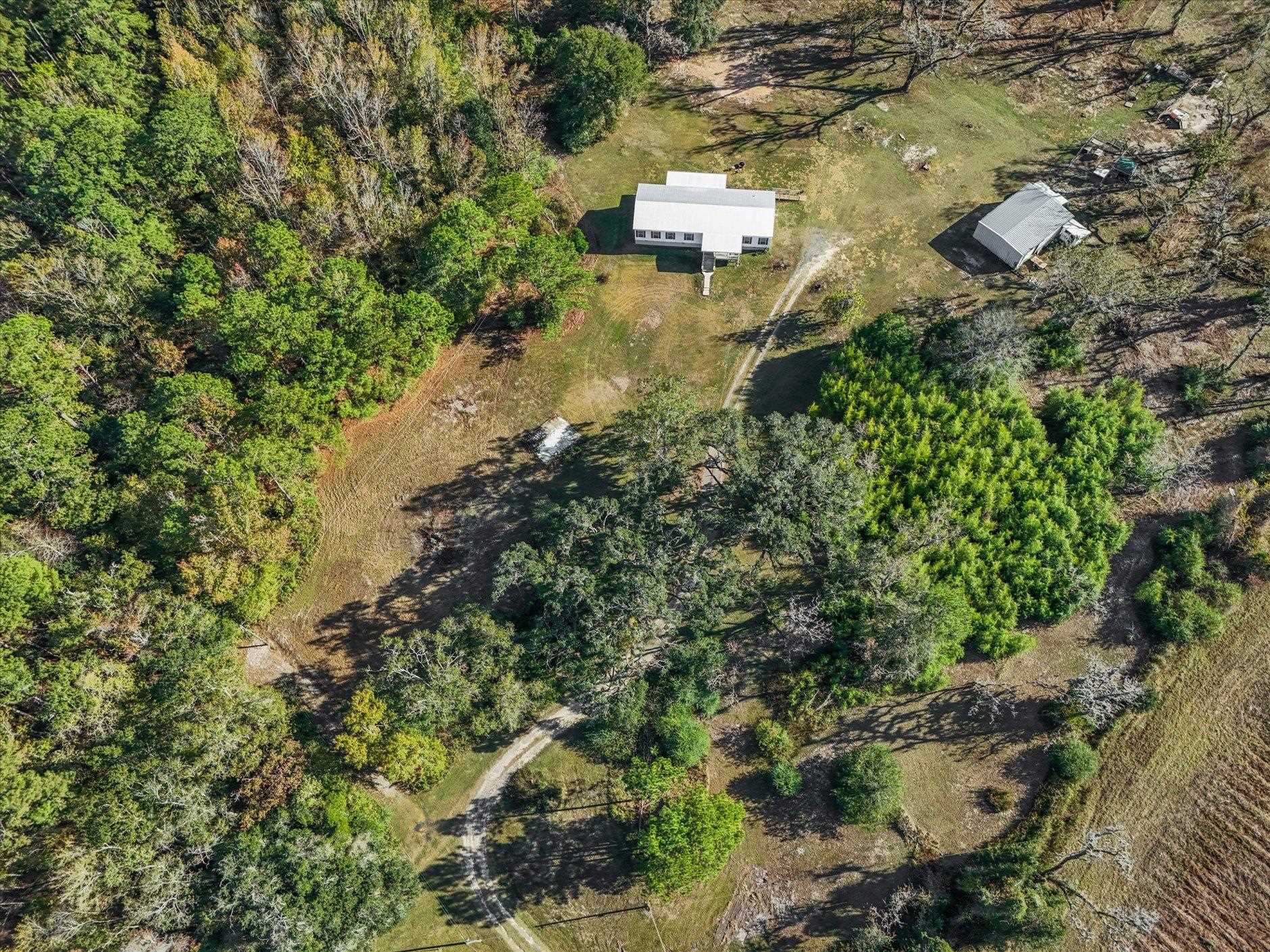 756 Frank Lacy Road Monticello, FL 32344 - Photo 13 of 64