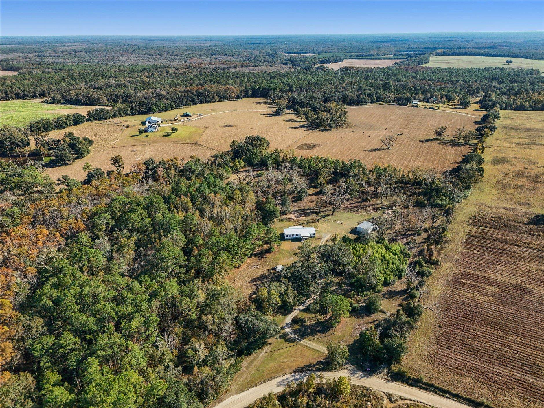 756 Frank Lacy Road Monticello, FL 32344 - Photo 14 of 64