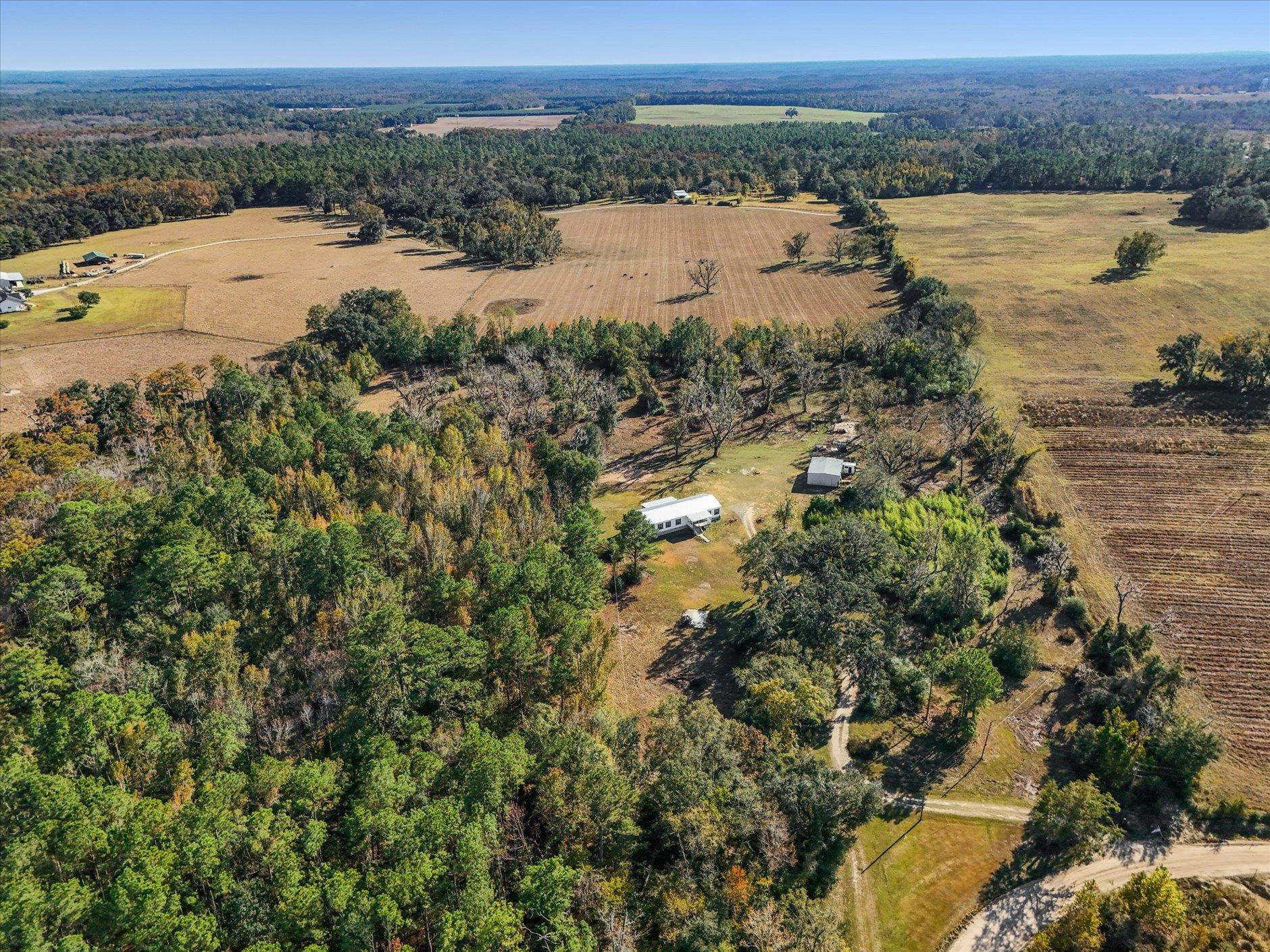 756 Frank Lacy Road Monticello, FL 32344 - Photo 15 of 64