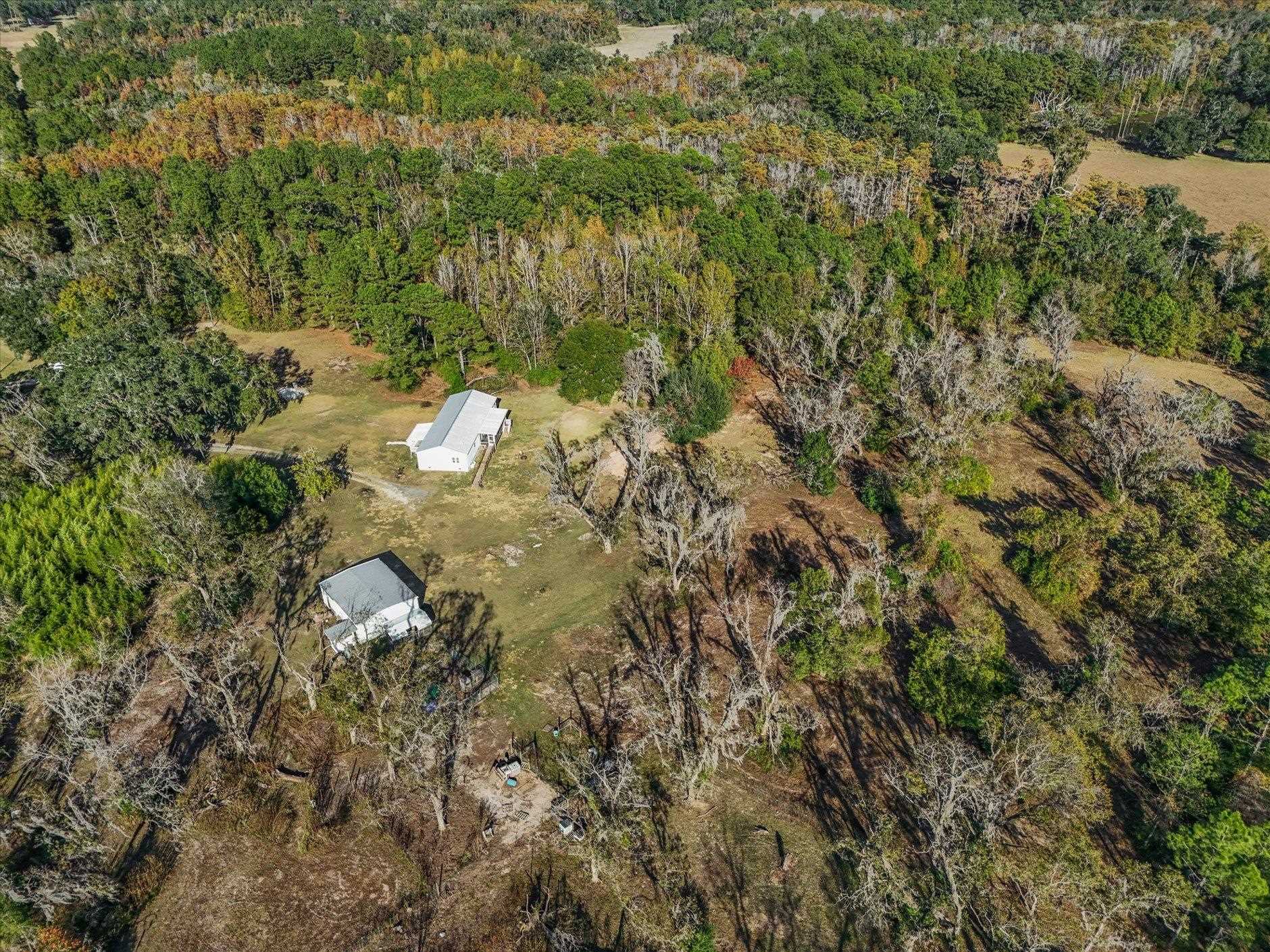 756 Frank Lacy Road Monticello, FL 32344 - Photo 16 of 64