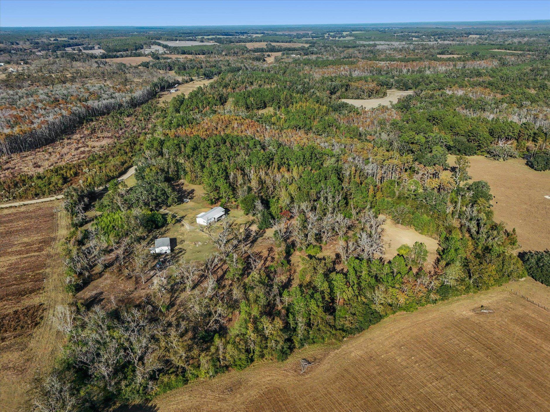 756 Frank Lacy Road Monticello, FL 32344 - Photo 22 of 64