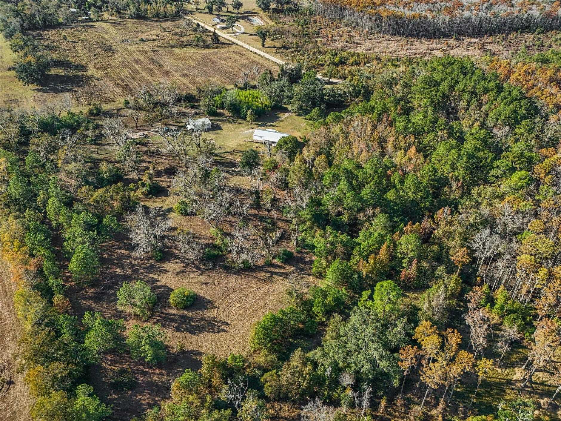 756 Frank Lacy Road Monticello, FL 32344 - Photo 24 of 64