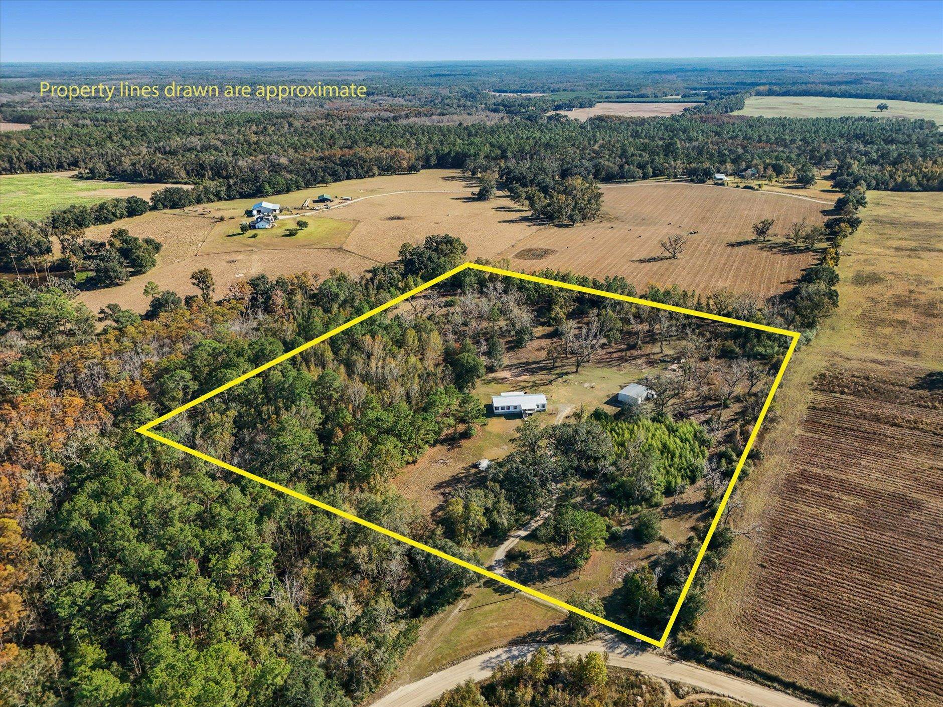 756 Frank Lacy Road Monticello, FL 32344 - Photo 25 of 64