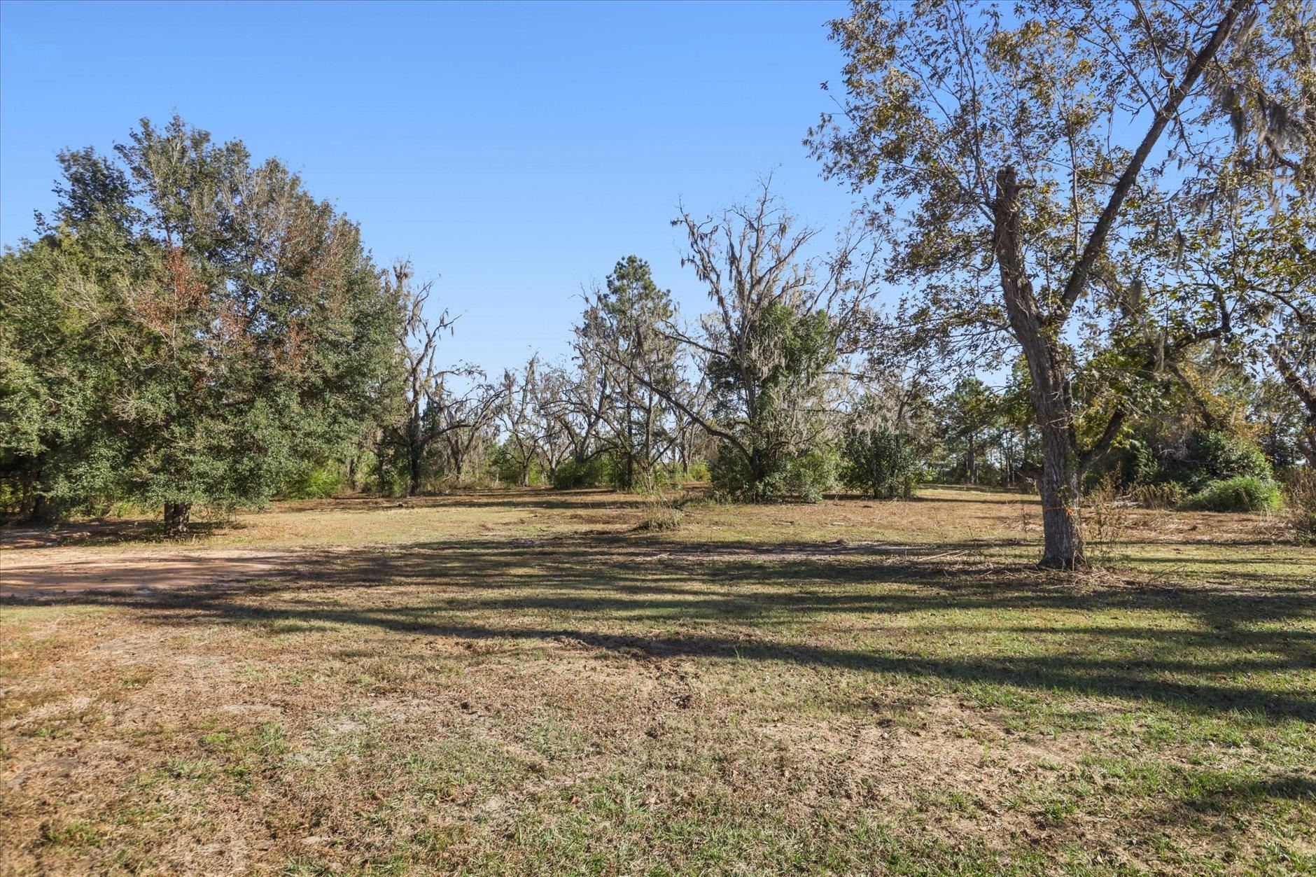 756 Frank Lacy Road Monticello, FL 32344 - Photo 9 of 64