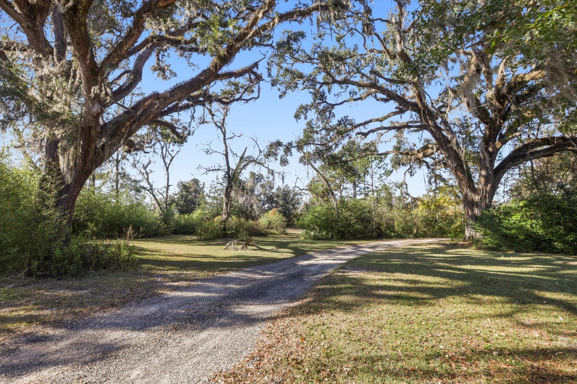 756 Frank Lacy Road Monticello, FL 32344 - Photo 10 of 64