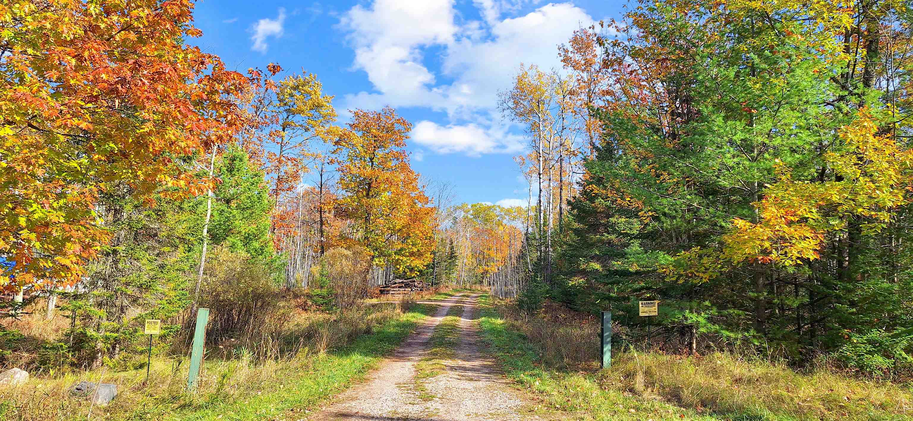 Lot 4-block Raspberry Trail La Pointe, WI 54850 - Photo 2 of 10 View of road