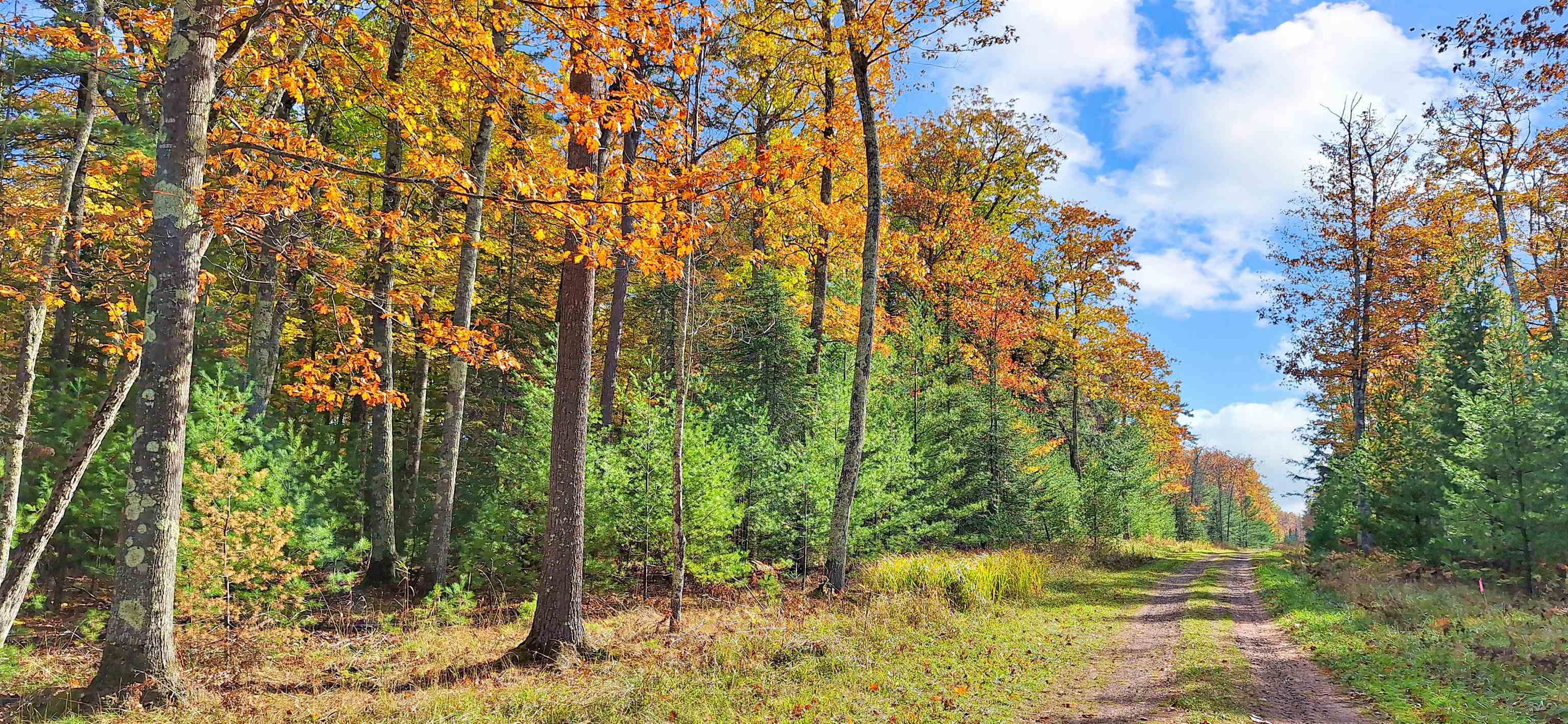 Lot 4-block Raspberry Trail La Pointe, WI 54850 - Photo 4 of 10 View of street