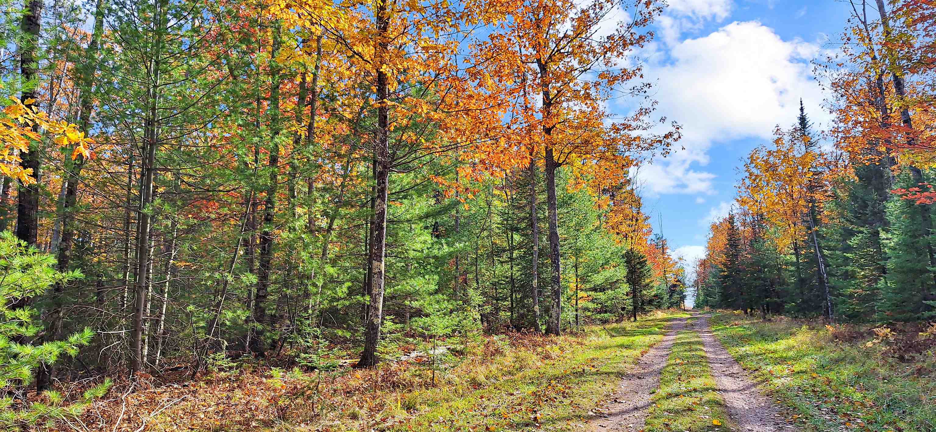 Lot 4-block Raspberry Trail La Pointe, WI 54850 - Photo 8 of 10 View of road