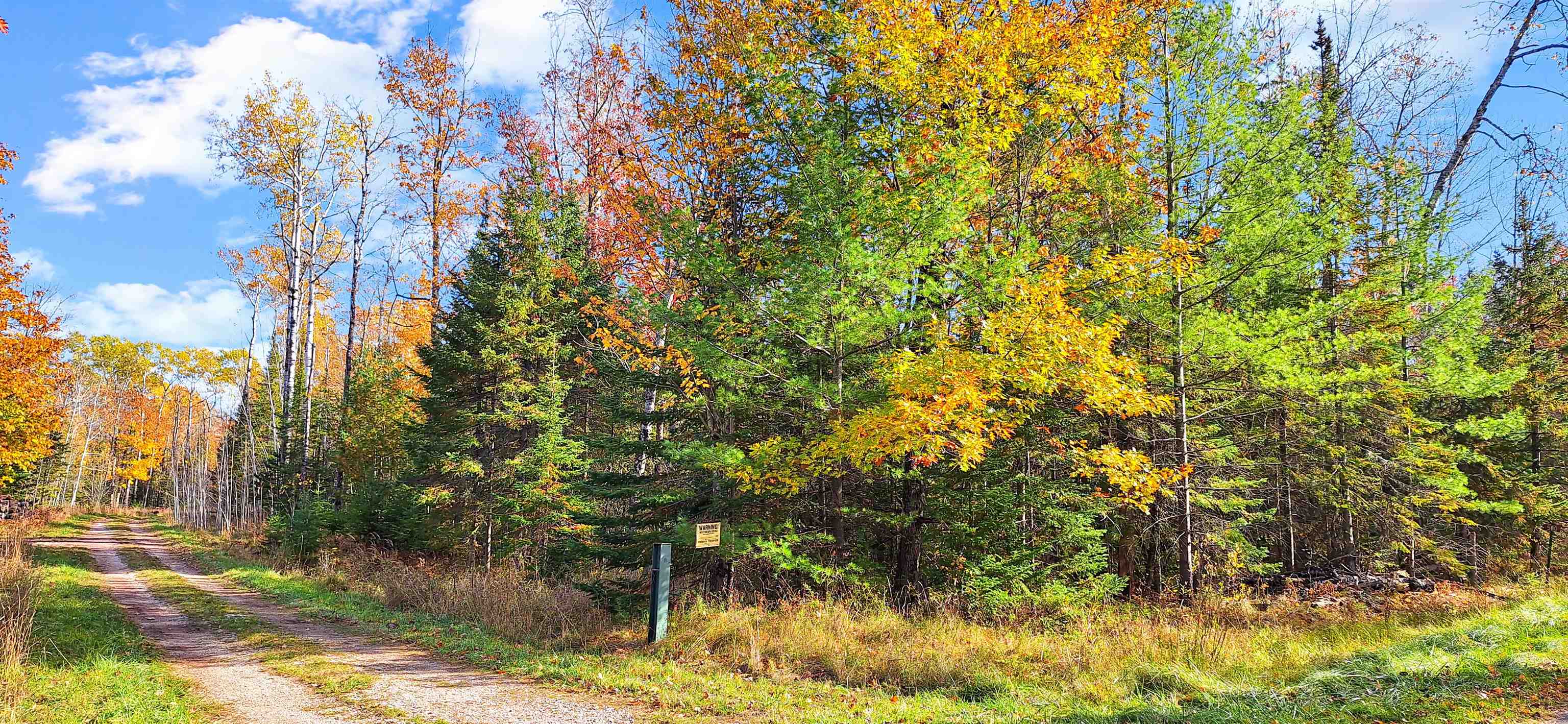 Lot 4-block Raspberry Trail La Pointe, WI 54850 - Photo 9 of 10 View of road