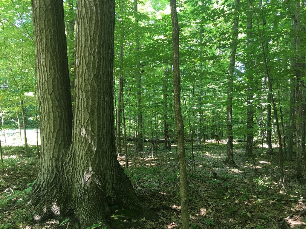 Tbd Harbor Heights Road Egg Harbor, WI 54209 - Photo 2 of 13 Gallery Image 2