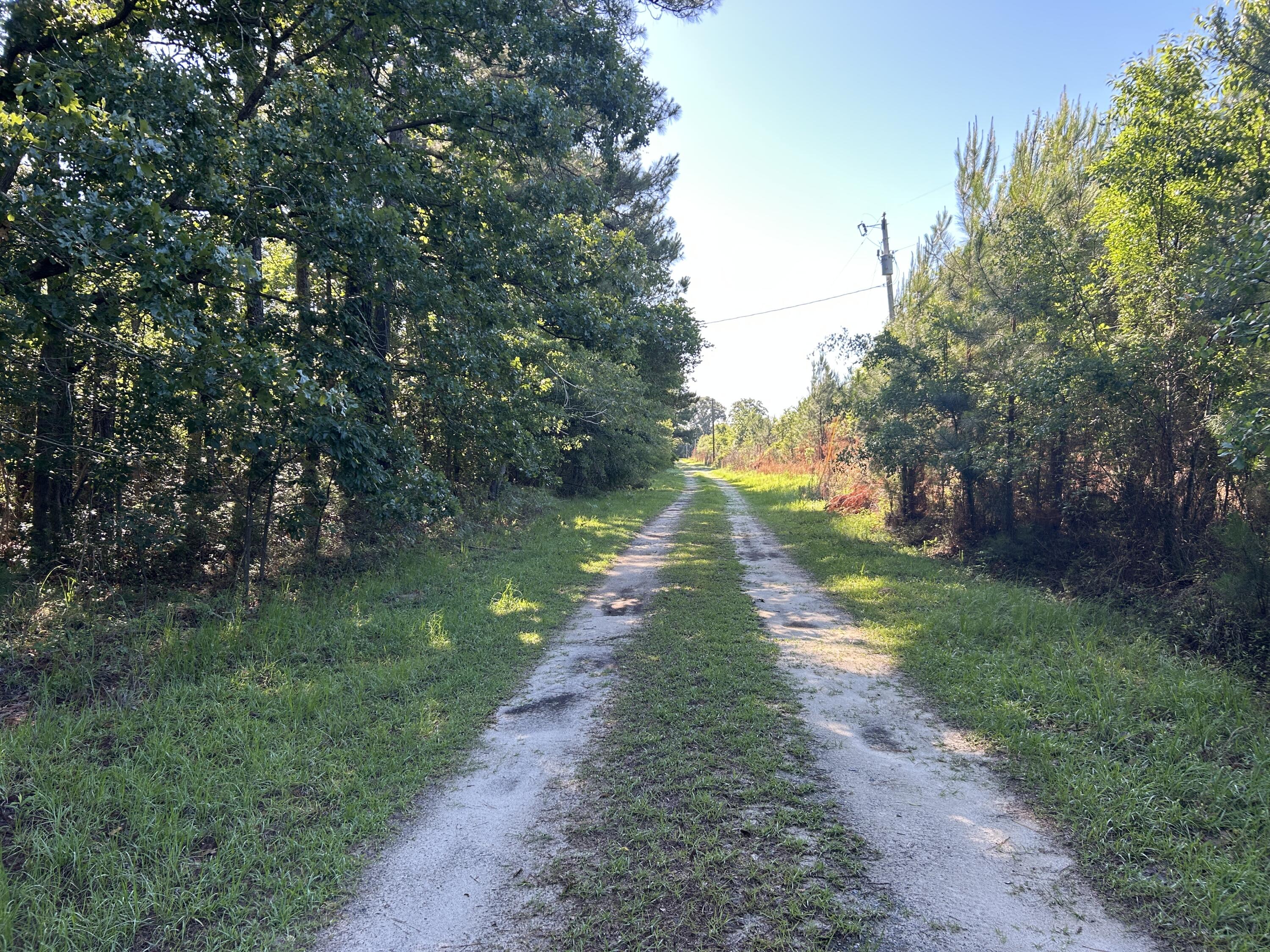0 Holladay Road Manning, SC 29102 - Photo 26 of 35