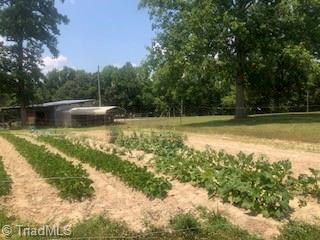 6314 Cloud Road Julian, NC 27283 - Photo 2 of 11 Gallery Image 2