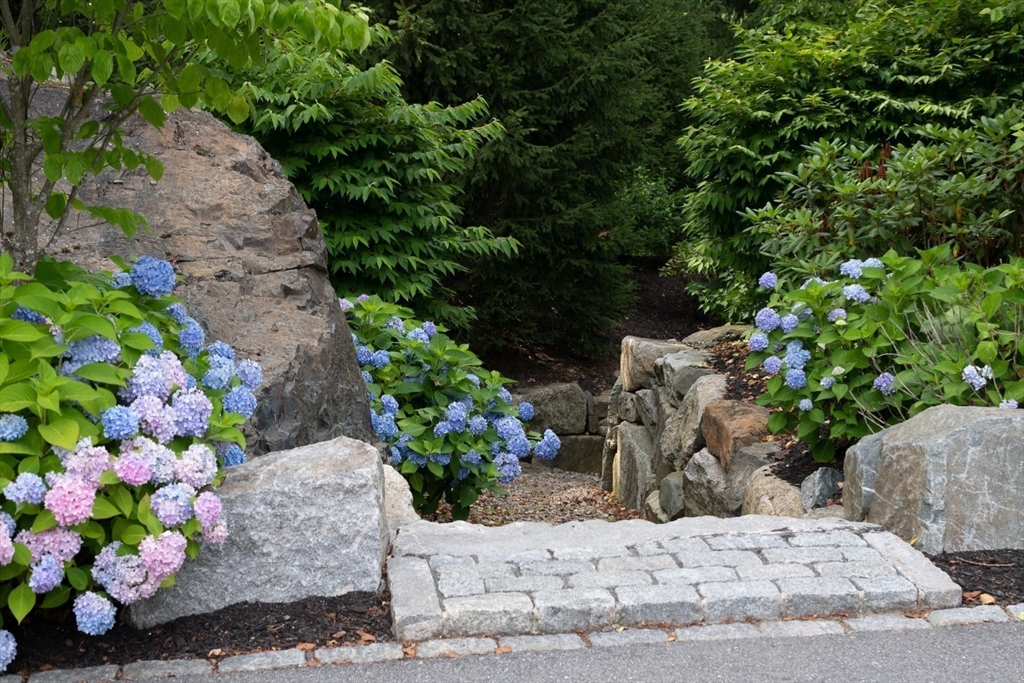 8 Hidden Road Weston, MA 02493 - Photo 35 of 42