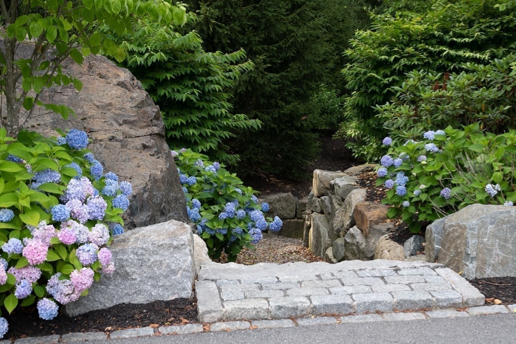 8 Hidden Road Weston, MA 02493 - Photo 36 of 42