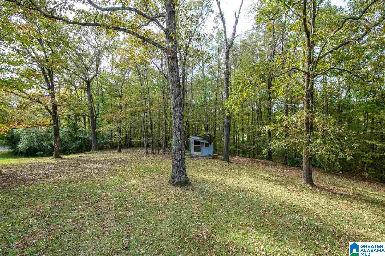 146 Cape Road Bessemer, AL 35023 - Photo 9 of 47