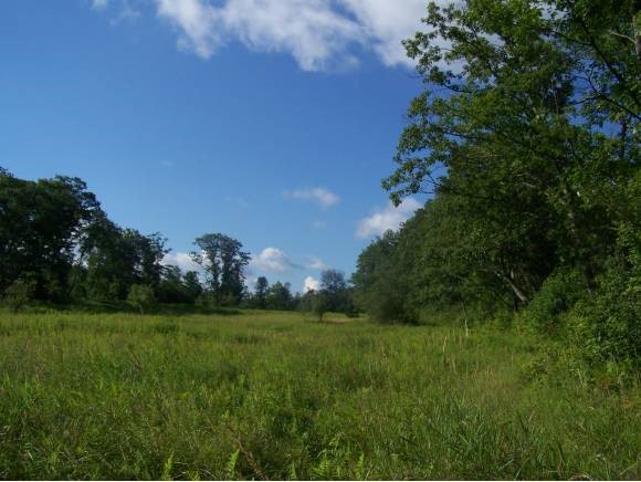 Lot 7 Porter Road Bath, NH 03740 - Photo 1 of 2