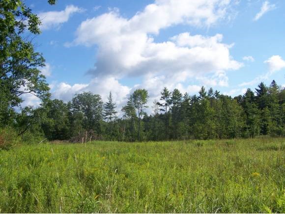 Lot 7 Porter Road Bath, NH 03740 - Photo 2 of 2