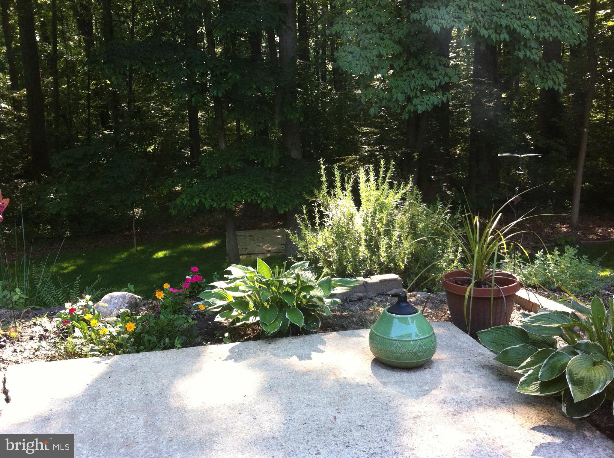 5638 Bellington Avenue Springfield, VA 22151 - Photo 50 of 66