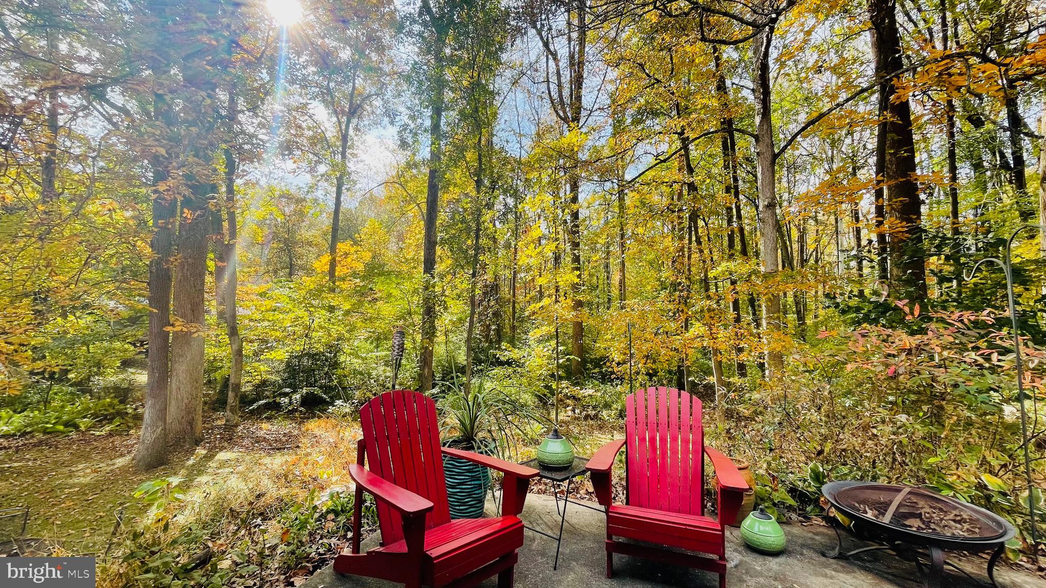 5638 Bellington Avenue Springfield, VA 22151 - Photo 5 of 66