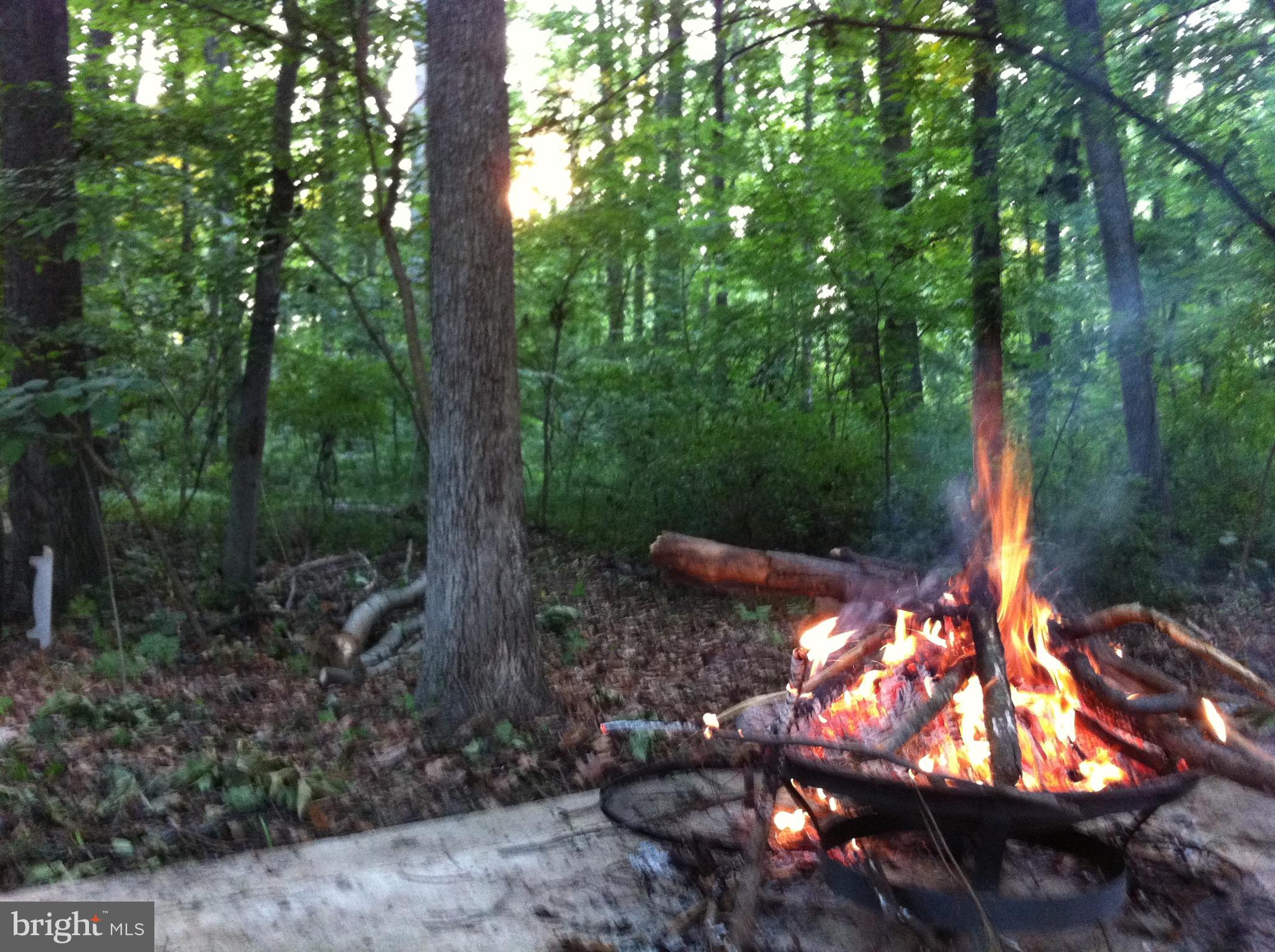 5638 Bellington Avenue Springfield, VA 22151 - Photo 51 of 66