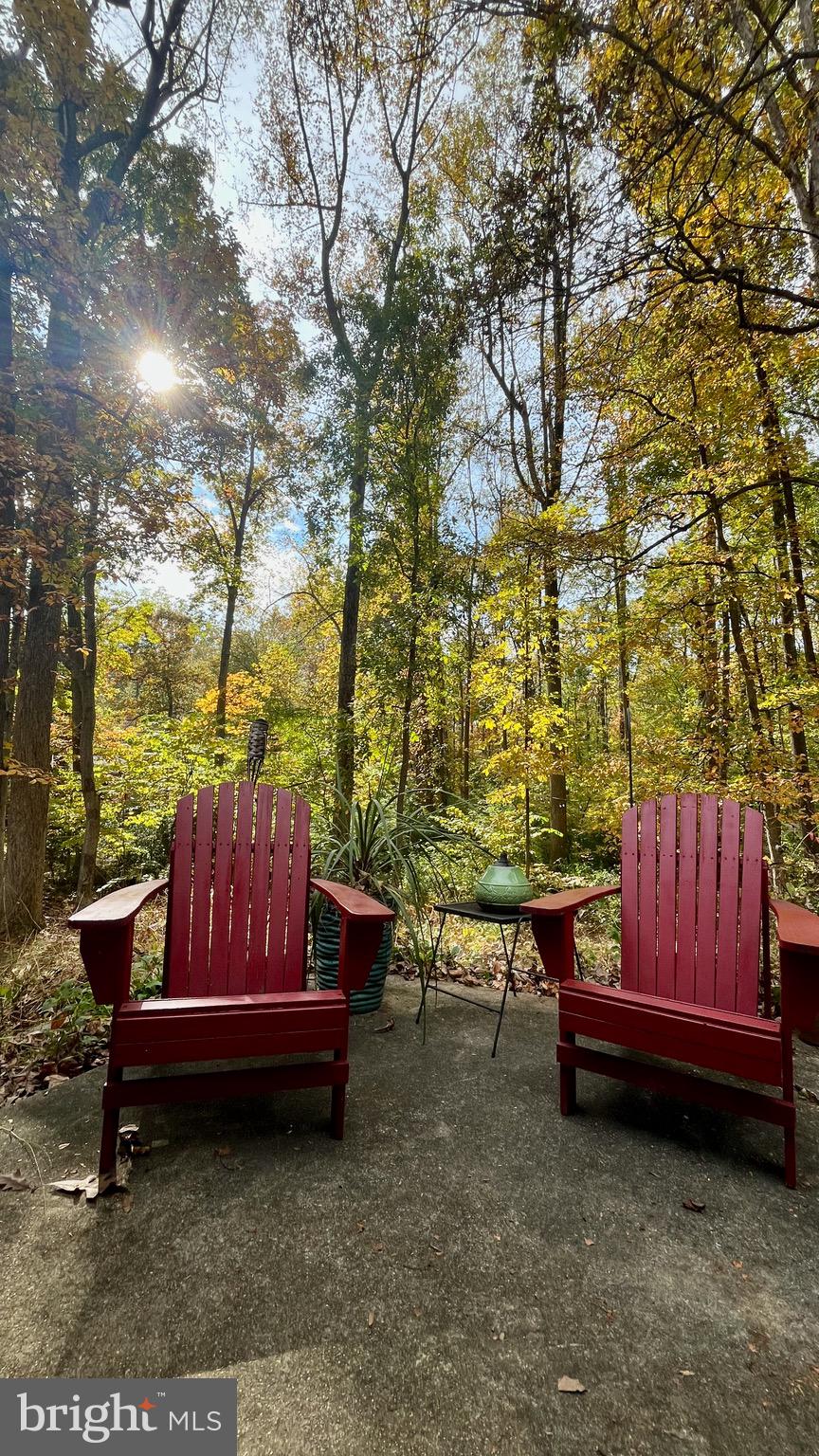 5638 Bellington Avenue Springfield, VA 22151 - Photo 54 of 66