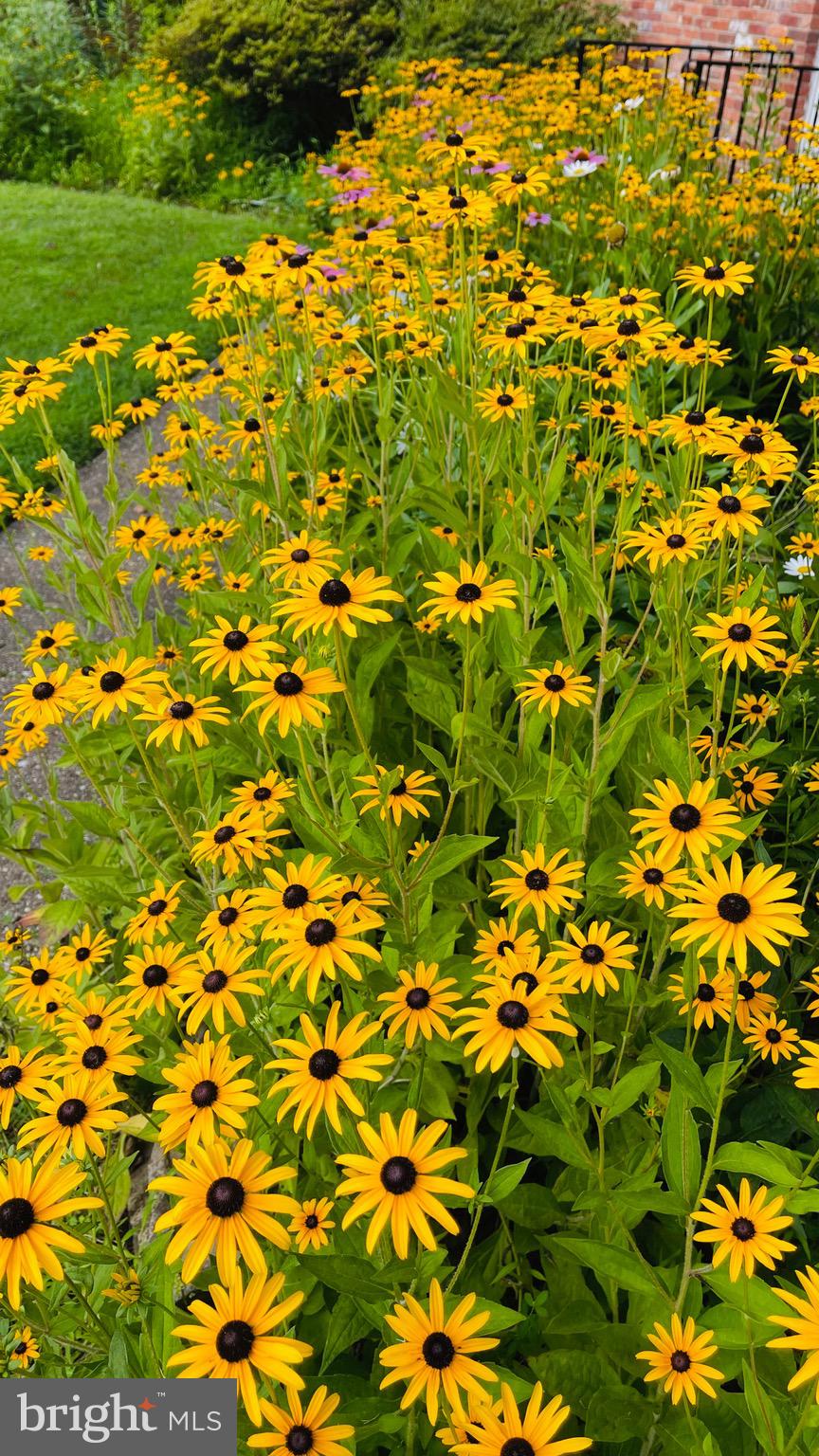 5638 Bellington Avenue Springfield, VA 22151 - Photo 56 of 66