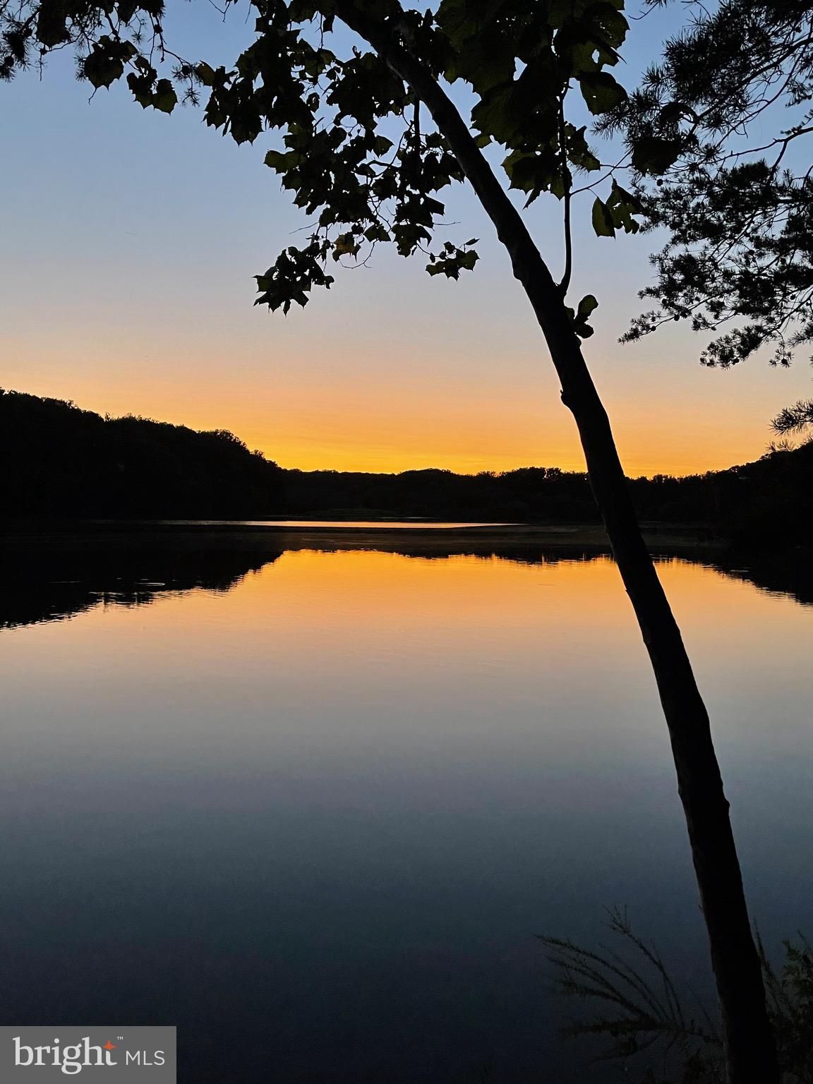 5638 Bellington Avenue Springfield, VA 22151 - Photo 59 of 66