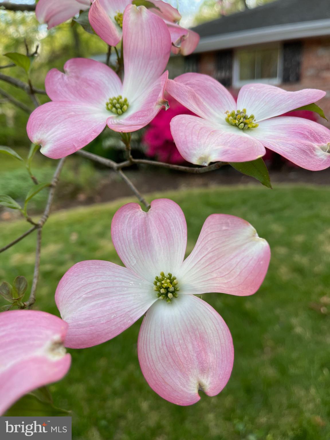 5638 Bellington Avenue Springfield, VA 22151 - Photo 60 of 66