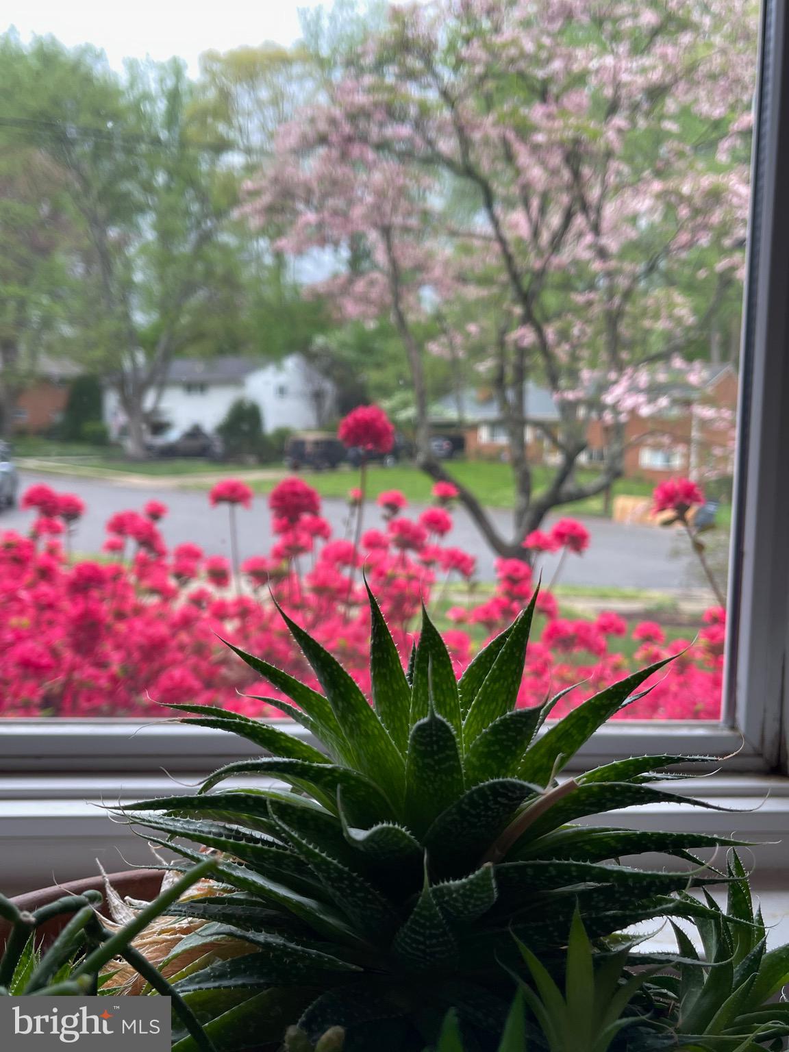 5638 Bellington Avenue Springfield, VA 22151 - Photo 62 of 66