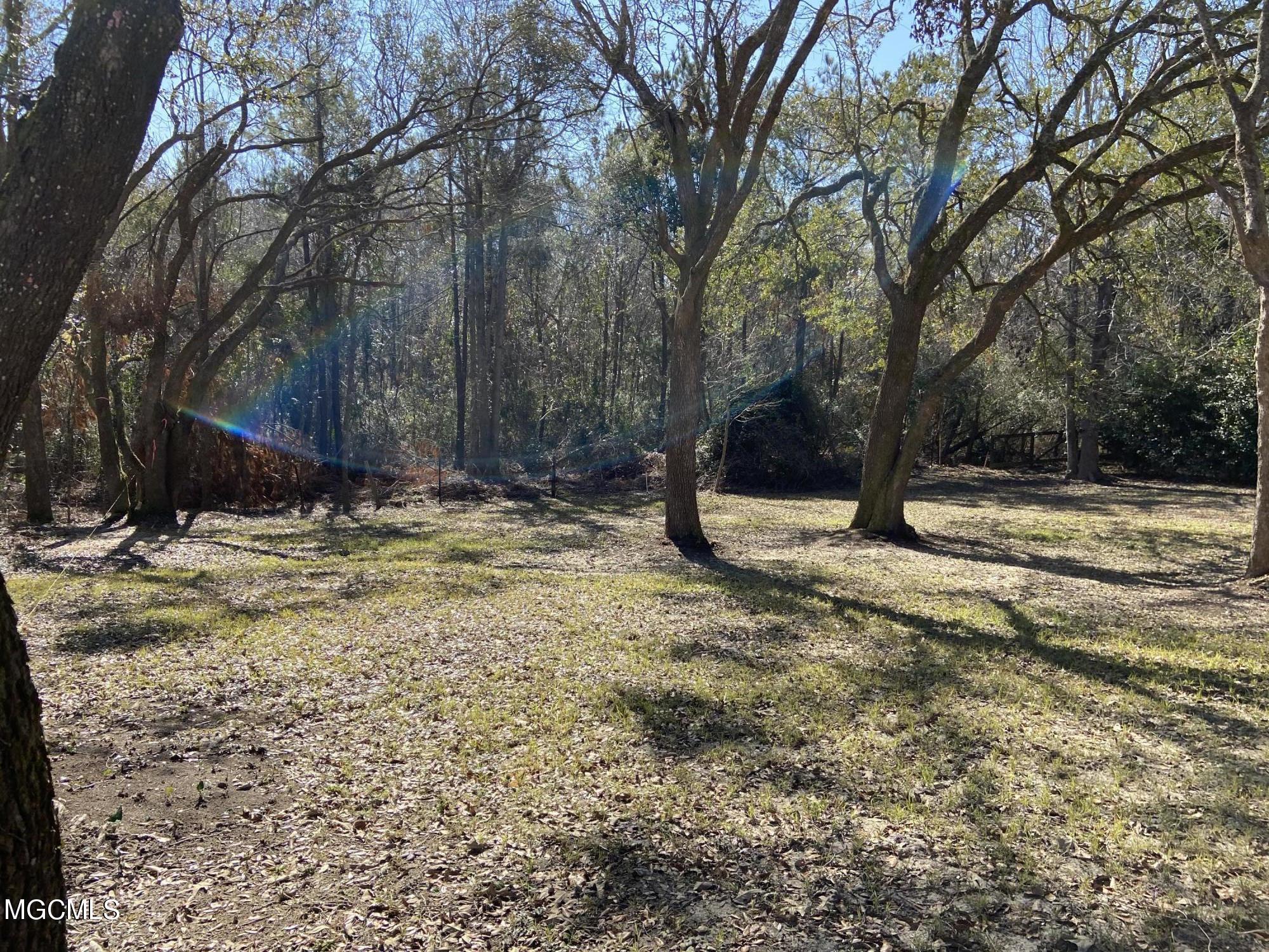 Lot 7 Magnolia Loop Pass Christian, MS 39571 - Photo 4 of 4 logan lot 3