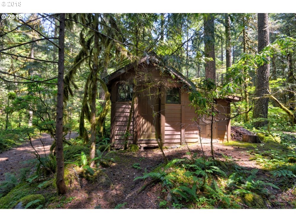75902 East Zigzag Mountain Road Rhododendron, OR 97049 - Photo 20 of 24 Gallery Image 20
