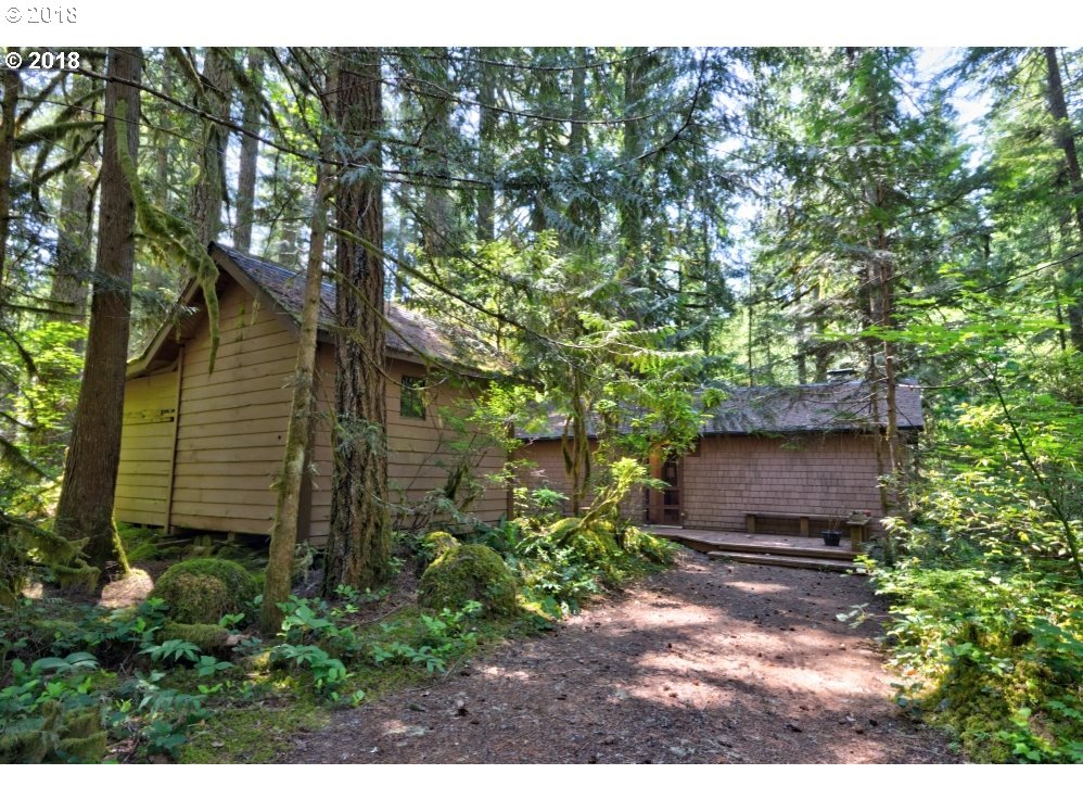 75902 East Zigzag Mountain Road Rhododendron, OR 97049 - Photo 22 of 24 Gallery Image 22