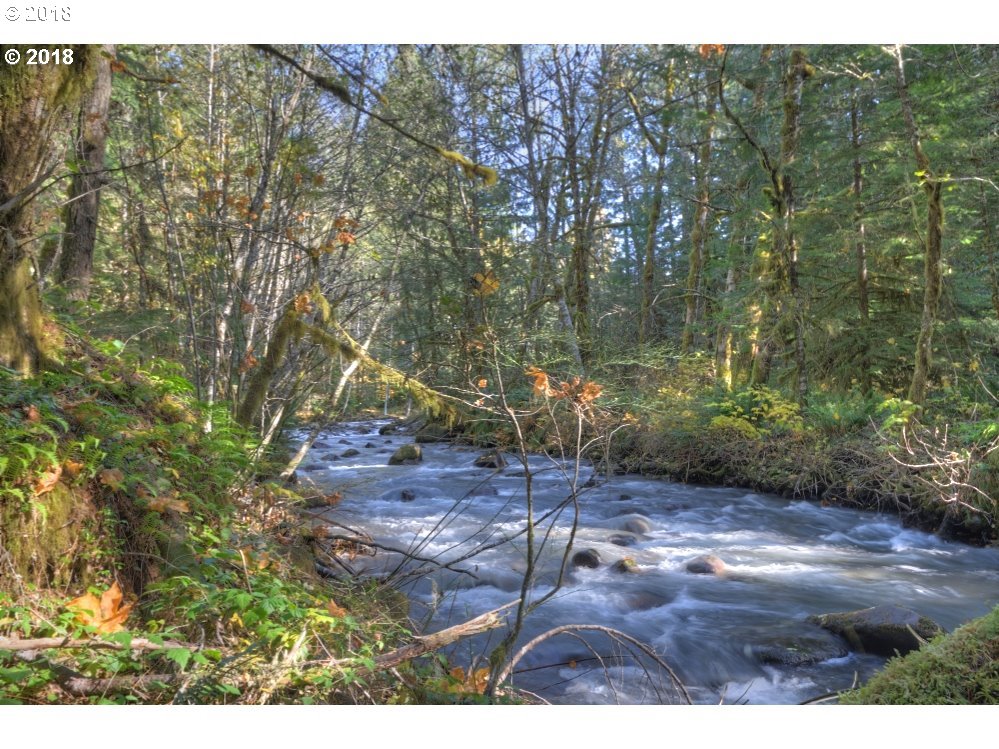 75902 East Zigzag Mountain Road Rhododendron, OR 97049 - Photo 24 of 24 Gallery Image 24