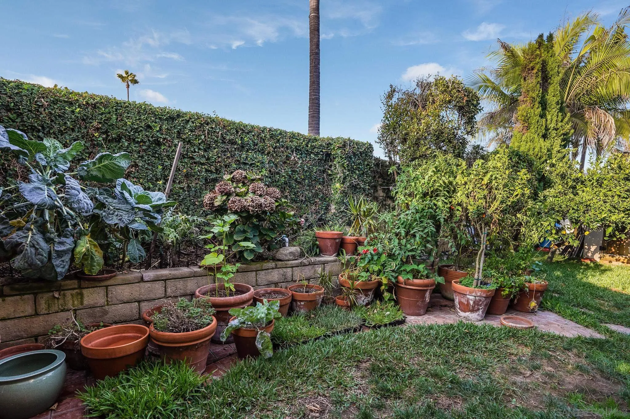 2 The Inlet Coronado, CA 92118 - Photo 34 of 40 a view of a chair and tables back yard of the house
