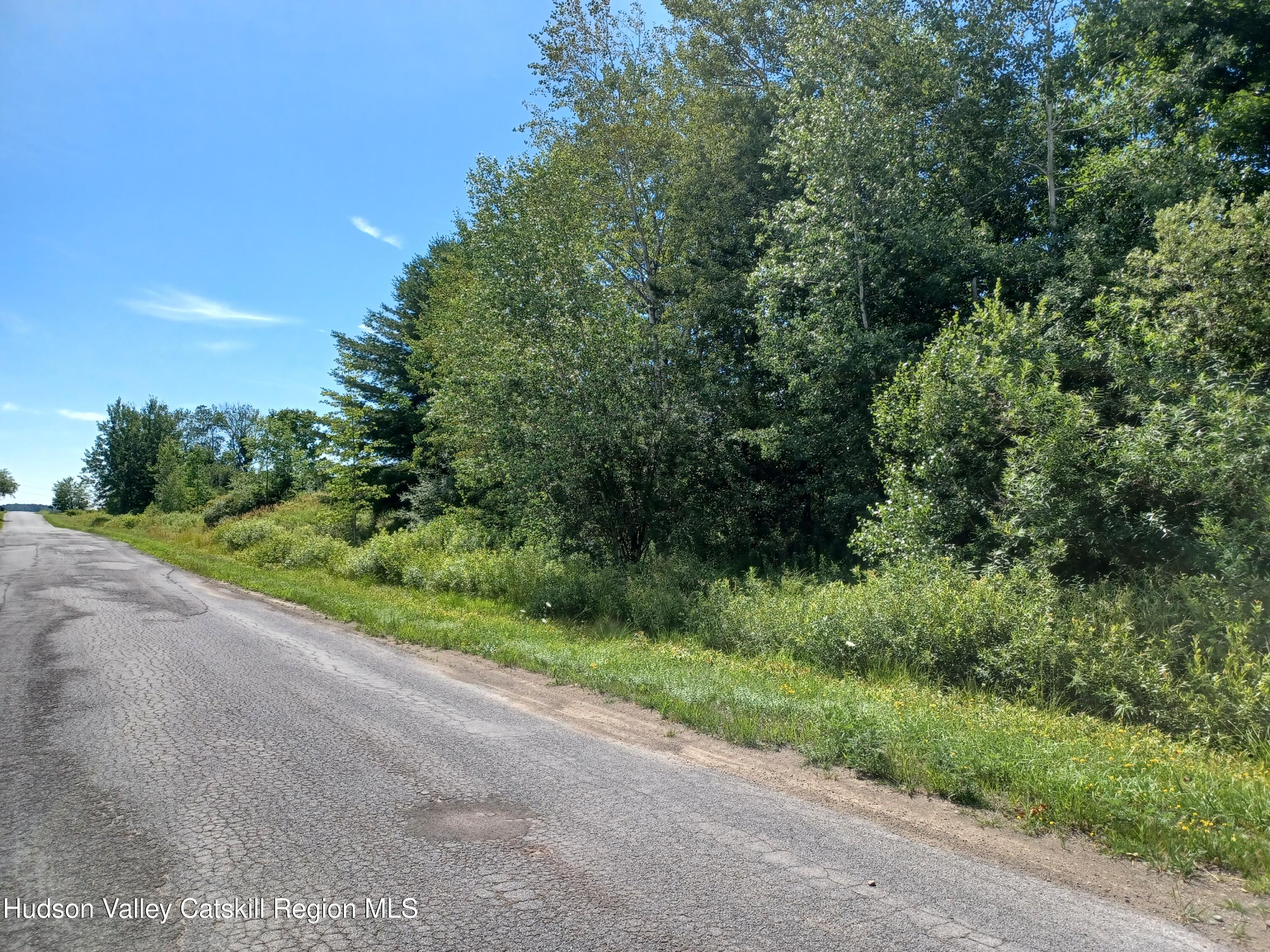 Tbd Tbd Hamlet View Road Sidney Center, NY 13839 - Photo 1 of 7 Hamlet View Rd