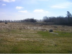 370 Watrous Road Harpursville, NY 13787 - Photo 6 of 7 Gallery Image 6