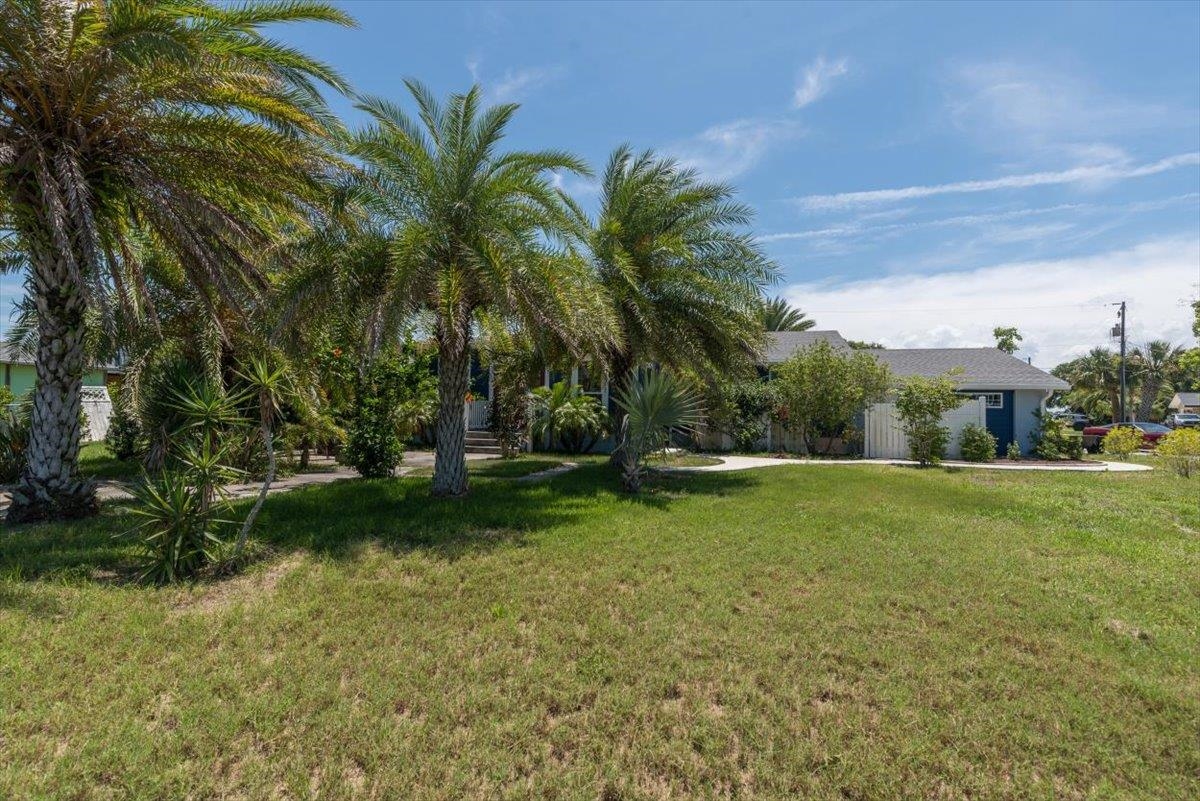 6342 Salado Road St. Augustine, FL 32080 - Photo 55 of 74 a view of a garden with a tree