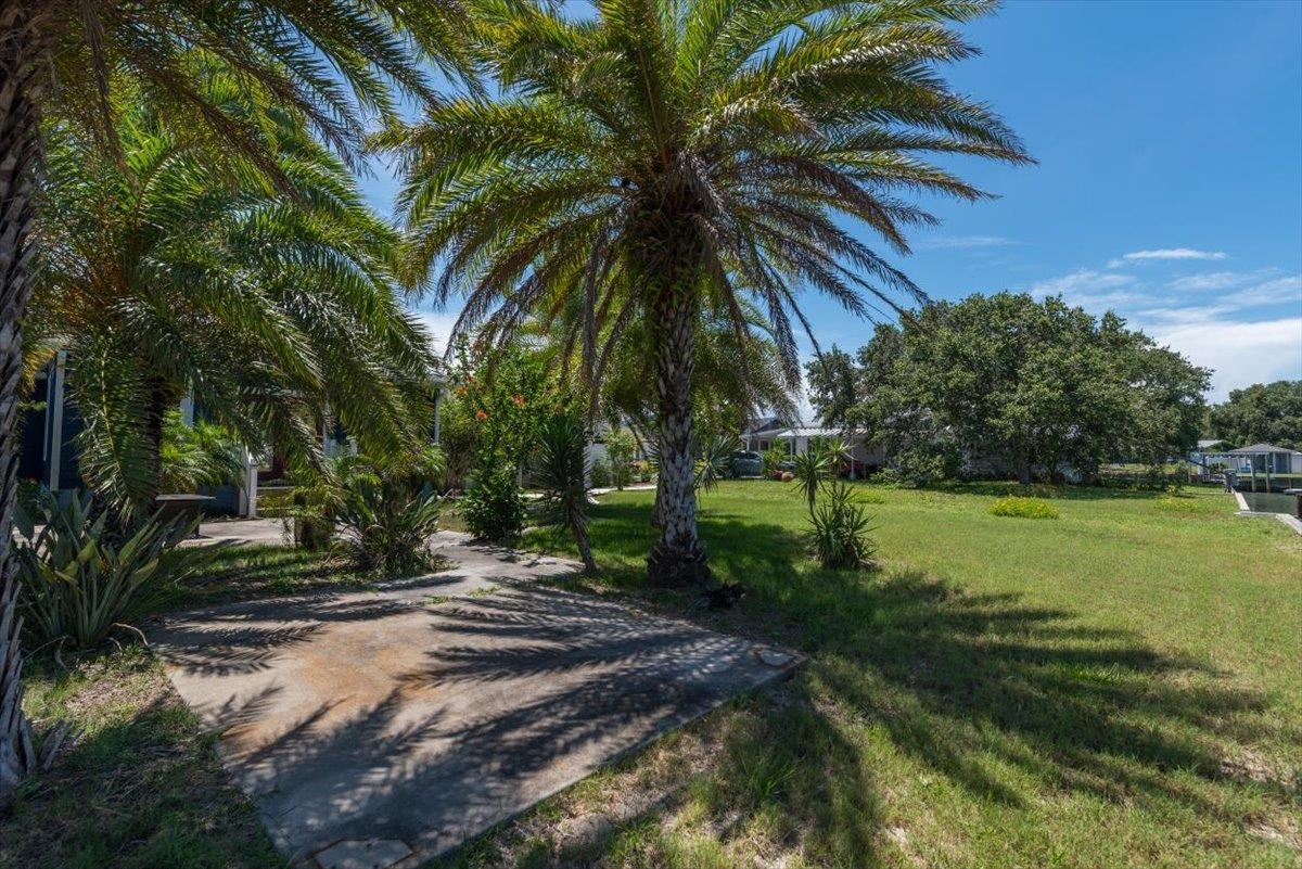 6342 Salado Road St. Augustine, FL 32080 - Photo 56 of 74 a view of a yard with a palm tree