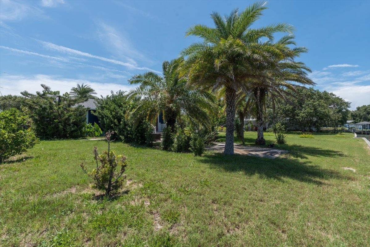 6342 Salado Road St. Augustine, FL 32080 - Photo 57 of 74 a view of a garden with a tree