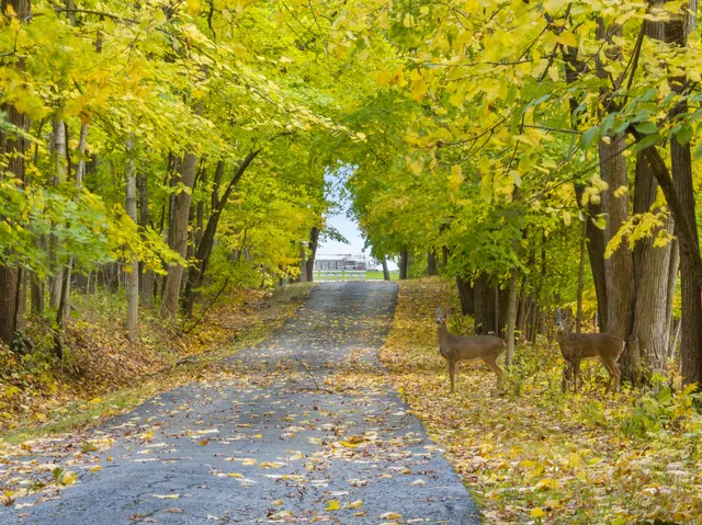 $195,000 | Lt31 Summit Drive, Fontana, WI 53125