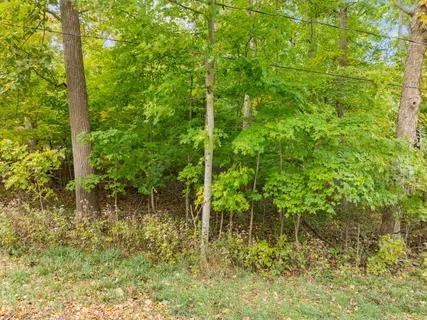 $195,000 | Lt31 Summit Drive, Fontana, WI 53125