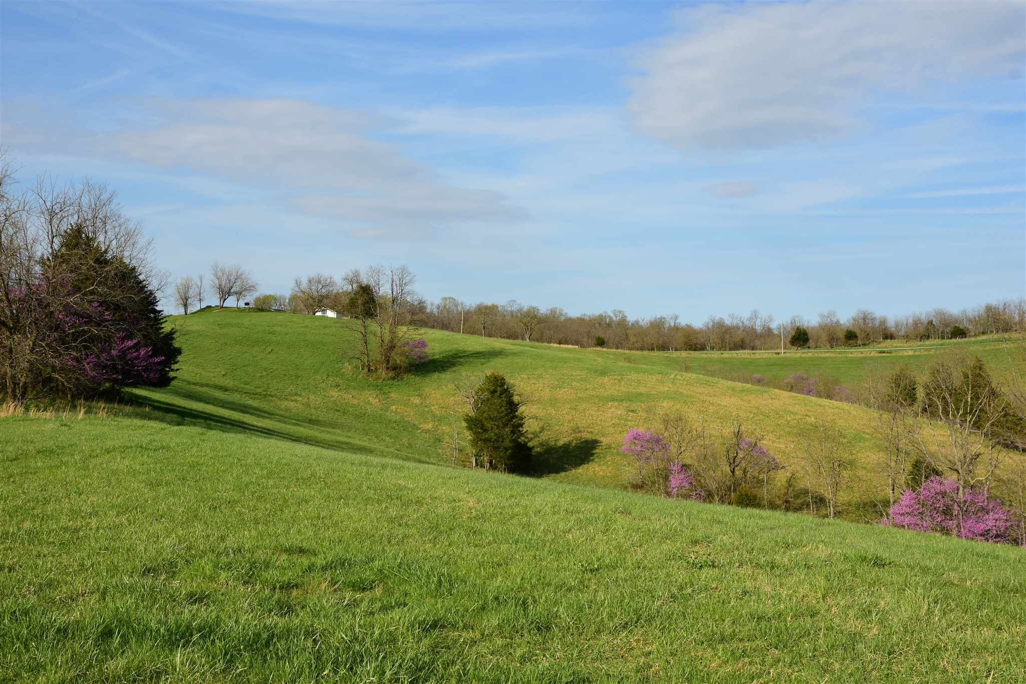 654 Belmont Road Brooksville, KY 41004 - Photo 26 of 50 Gallery Image 26