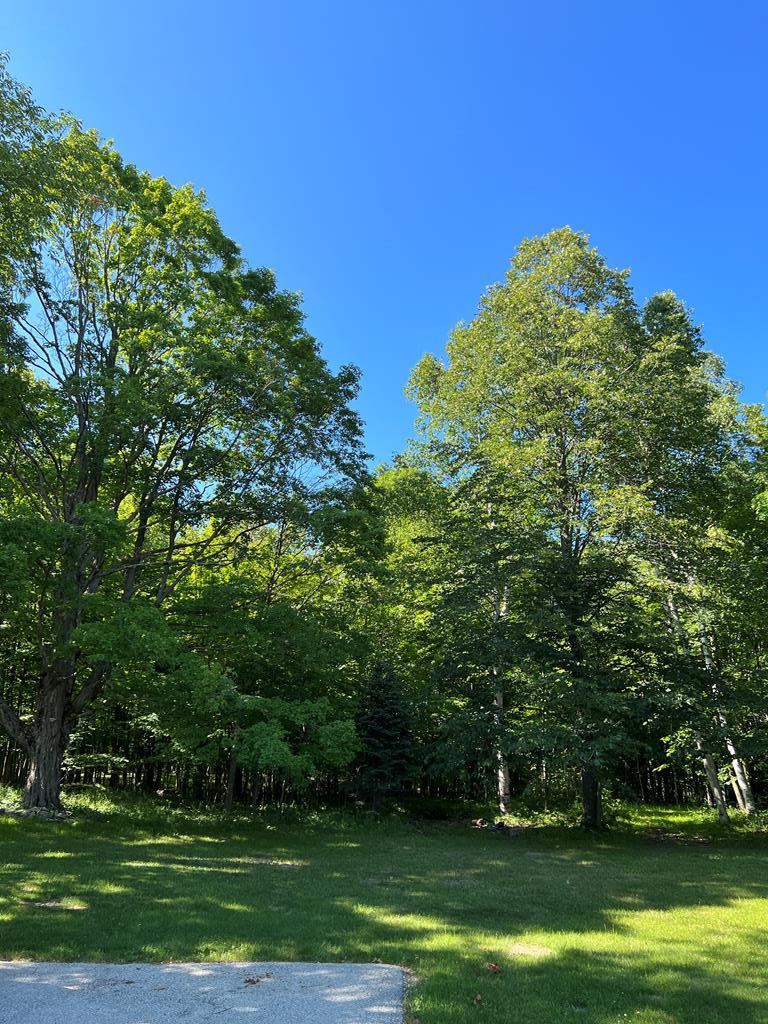 4100 County EE Fish Creek, WI 54212 - Photo 6 of 54