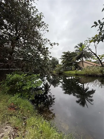 a view of water with a tree