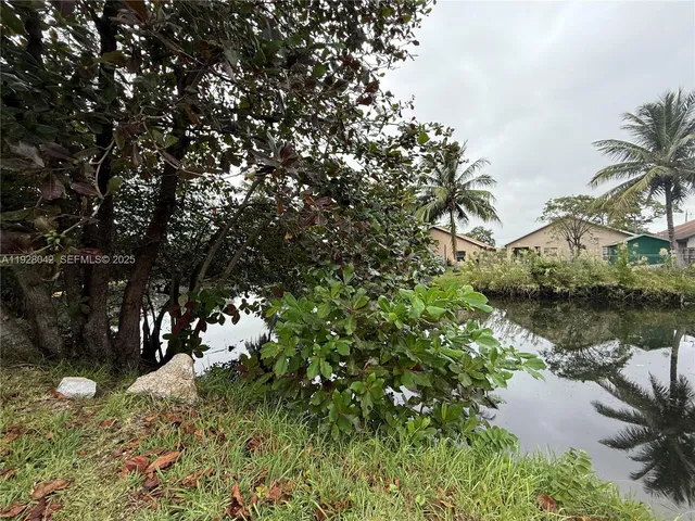 a view of a tree with a yard